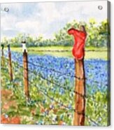 Texas Bluebonnets Boot Fence Acrylic Print