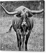 Texas Cowboy Collection Acrylic Print
