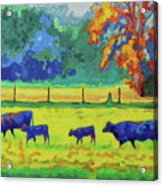 Texas Cows And Calves At Sunset Painting T Bertram Poole Acrylic Print