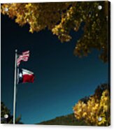 Texas Pride Acrylic Print