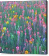 Texas Wildflowers Abstract Acrylic Print
