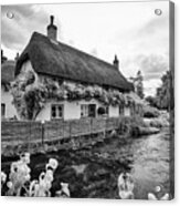 Thatched Cottages Of Hampshire 1 Acrylic Print