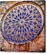 The Blue Rosette With Twelve Arms Acrylic Print