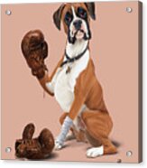 The Boxer Colour Acrylic Print