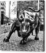 The Bull Black White Nyc Wall Street Acrylic Print