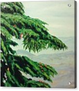 The Cedar Tree Acrylic Print