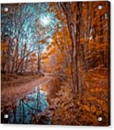 The Color Of Fall Acrylic Print