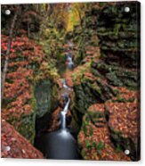 The Falls Acrylic Print