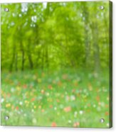 The Forest Acrylic Print