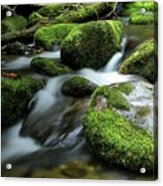 The Great Smoky Mountains National Park Mossy Boulders Acrylic Print