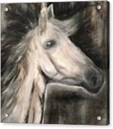 The Horse Acrylic Print