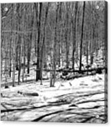 The Last Snow On The Maple Ridge Trail Acrylic Print