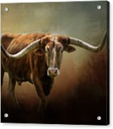 The Longhorn Acrylic Print