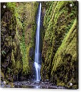 The Lush And Green Lower Oneonta Falls Acrylic Print