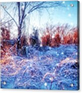 The Magic Of Winter 2 Acrylic Print