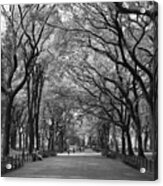 The Mall In Central Park And Poets Walk Acrylic Print
