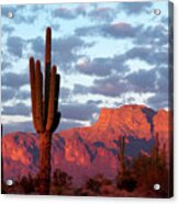 The Mountain Is Pink Time To Drink, Superstitions Az Acrylic Print