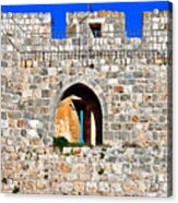 The Old Wall Acrylic Print
