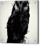 The Owl Acrylic Print