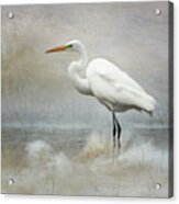 The Peace Of Wild Things Acrylic Print