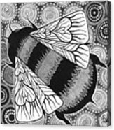 The Pollinator Acrylic Print