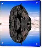 The Power In My Reflection Acrylic Print