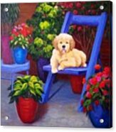The Puppy In The Garden Acrylic Print