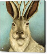 The Real Jackalope Iphone X Case For Sale By Leah Saulnier The