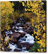 The River Of Gold Acrylic Print