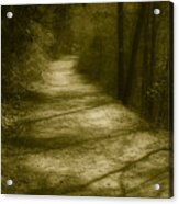 The Road To . . . Acrylic Print