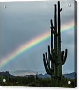 The Saguaro And The Rainbow Acrylic Print