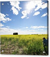 The Saskatchewan Prairies Acrylic Print