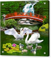 The Swan Family Acrylic Print