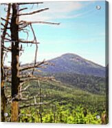 The View From Tabletop Mountain Adirondacks Upstate New York Acrylic Print