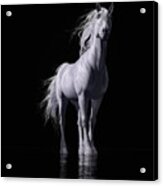 The White Horse Acrylic Print