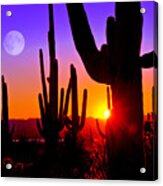 Third Sunset At Saguaro Acrylic Print