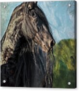 Thoughts Of Friesians Acrylic Print