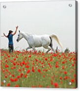 Three At The Poppies' Field Acrylic Print