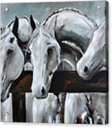 Three Greys Acrylic Print