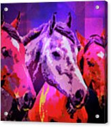 Three Horses Acrylic Print