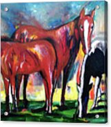 Three Horses Sunny Day Acrylic Print