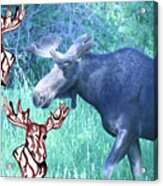 Three Moose Acrylic Print