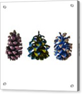 Three Pine Cones Acrylic Print