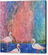 Three Pink Flamingos Acrylic Print