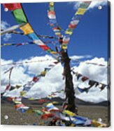 Tibet_304-8 Acrylic Print