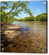 Tidal Mangrove Estuary - Von D Mizell Eula Johnson State Park Acrylic Print