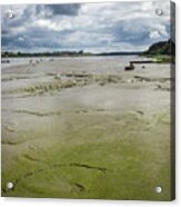 Tide Is Out Acrylic Print