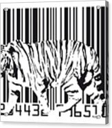 Tiger Barcode Acrylic Print