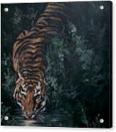 Tiger Acrylic Print
