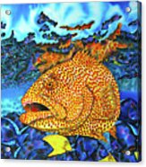 Tiger Grouper And Tang Fish Acrylic Print